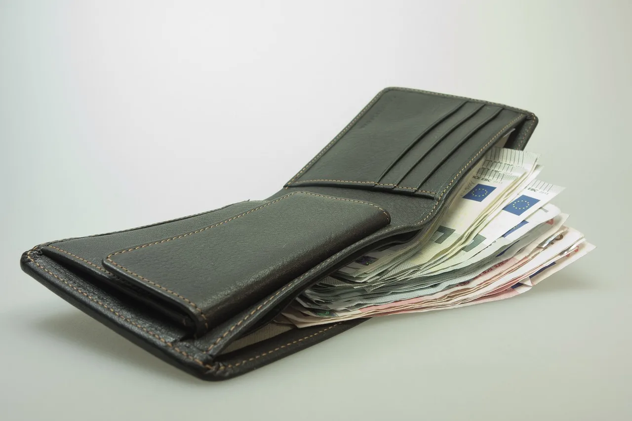 money, wallet, banknotes, euro, leather, men's wallet, man purse, leather goods, black money, pension, reserve, save up, payout, wallet, wallet, wallet, wallet, wallet, men's wallet, man purse, payout. Creator income by platform: shares, fees and tax basics