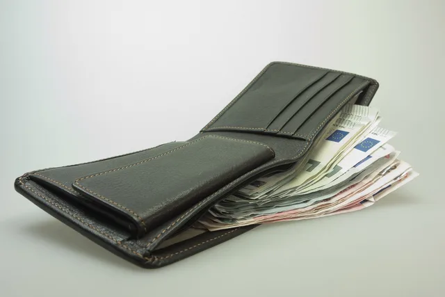 money, wallet, banknotes, euro, leather, men's wallet, man purse, leather goods, black money, pension, reserve, save up, payout, wallet, wallet, wallet, wallet, wallet, men's wallet, man purse, payout. Creator income by platform: shares, fees and tax basics