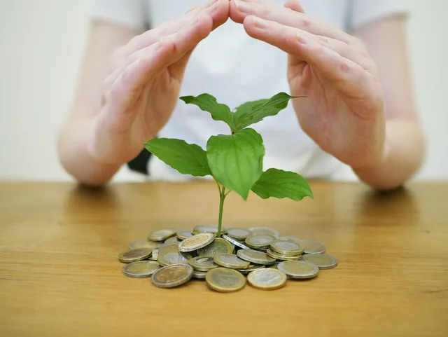 money back up, save money, save up, bank, coins, business, invest, wealth, finance, currency, bust, income, profit, money, investments, save money, save money, invest, invest, invest, invest, invest, wealth, income, income, income, income, money. Seven creator income metrics to track from your own records, not benchmarks