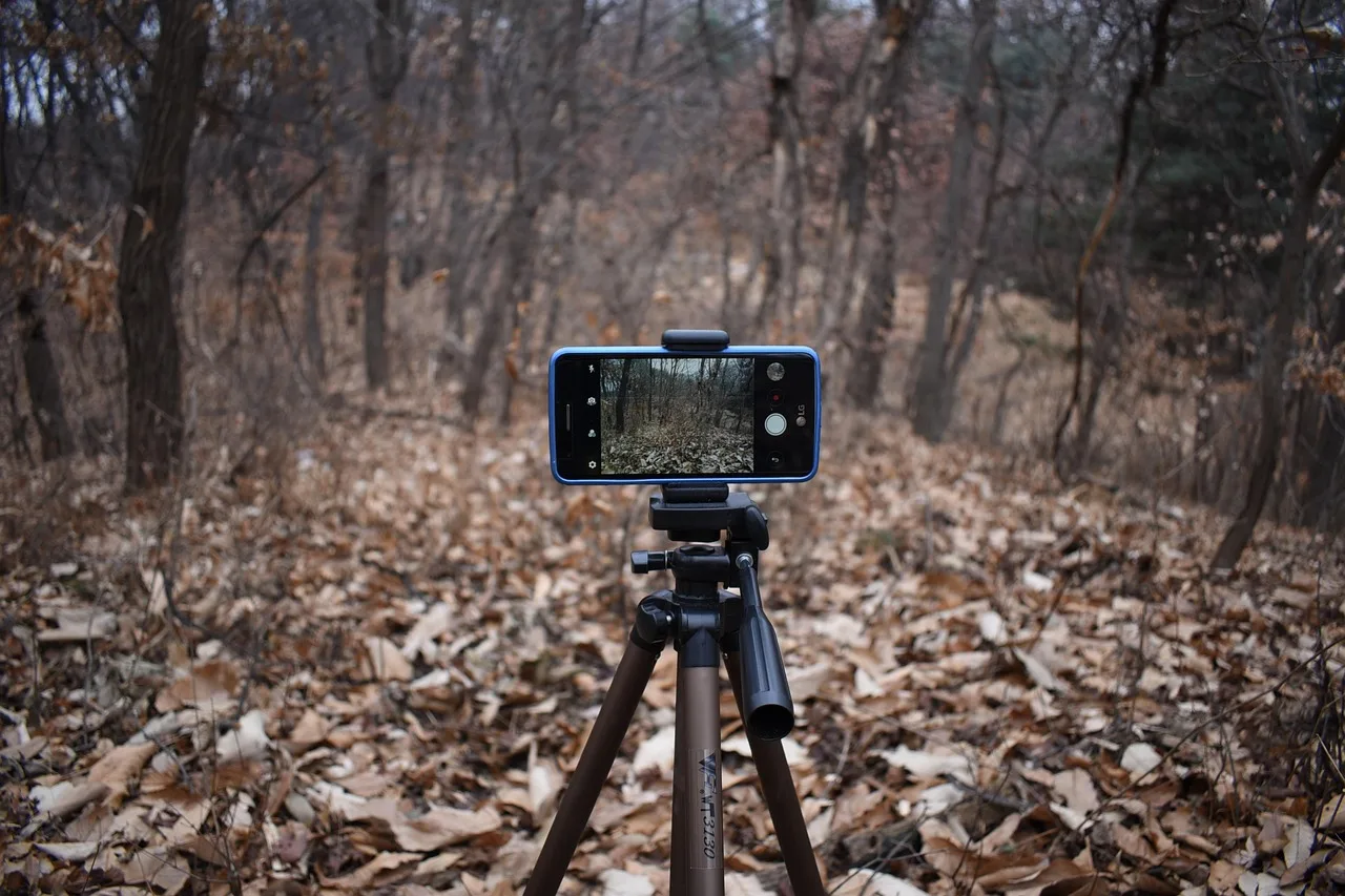 smartphone, camera, photo, video, filming, cell phone, tripod, movie, shooting, tripod, tripod, tripod, tripod, tripod. What Rate Should UGC Creators Charge per Video?
