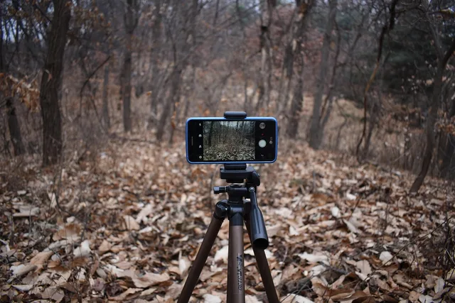 smartphone, camera, photo, video, filming, cell phone, tripod, movie, shooting, tripod, tripod, tripod, tripod, tripod. What Rate Should UGC Creators Charge per Video?